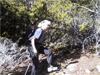 small_001021 coIMG_6384.webp